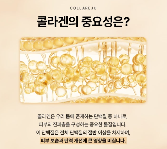 콜라겐의 중요성 안내